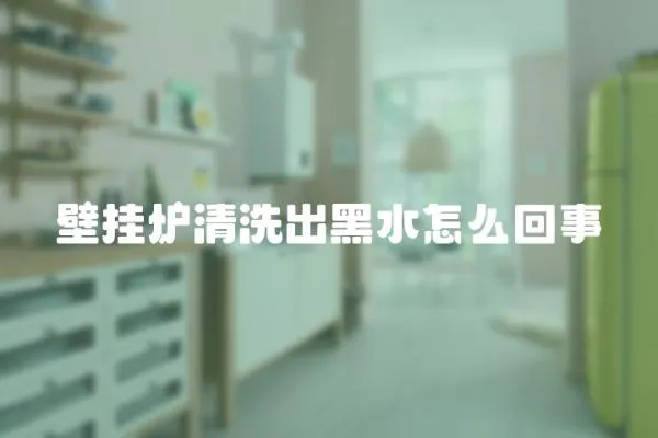 壁掛爐清洗出黑水怎么回事