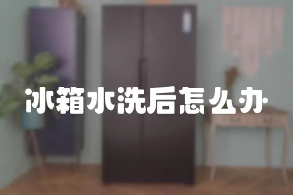 冰箱水洗后怎么辦