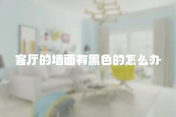 客廳的墻面有黑色的怎么辦