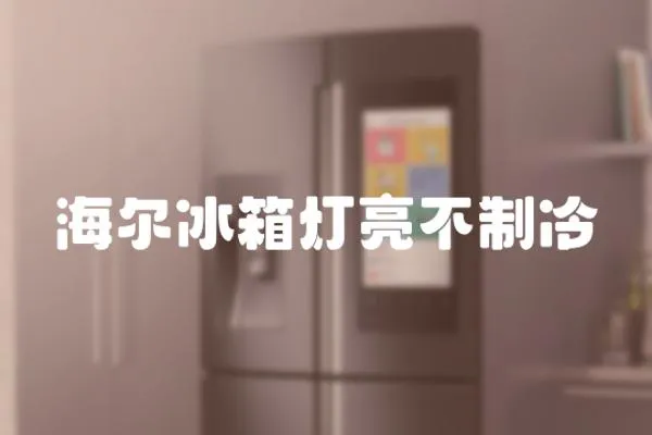 海爾冰箱燈亮不制冷