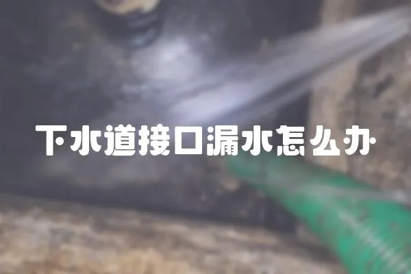 下水道接口漏水怎么辦