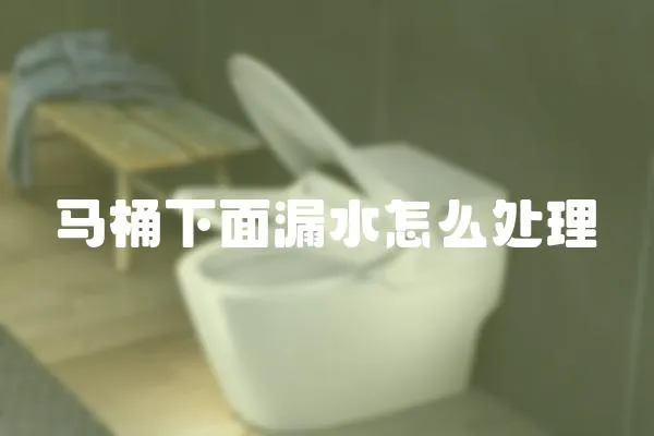 馬桶下面漏水怎么處理