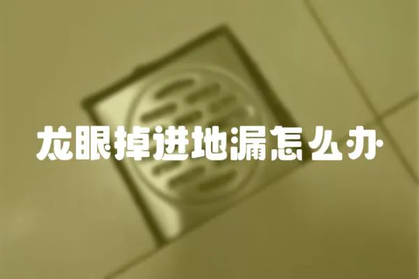 龍眼掉進(jìn)地漏怎么辦