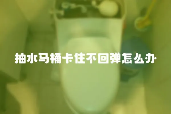 抽水馬桶卡住不回彈怎么辦