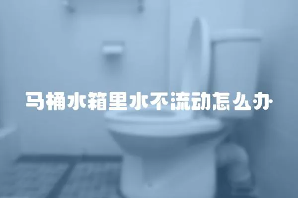 馬桶水箱里水不流動怎么辦