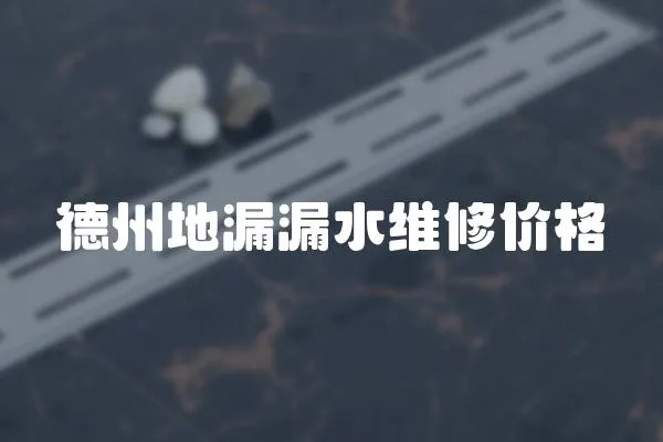 德州地漏漏水維修價格