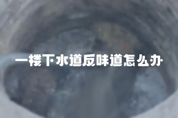 一楼下水道反味道怎么办