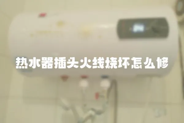 熱水器插頭火線燒壞怎么修