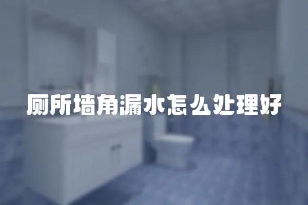 廁所墻角漏水怎么處理好