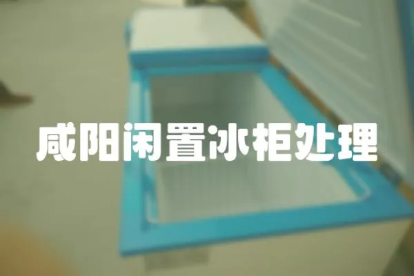 咸陽閑置冰柜處理