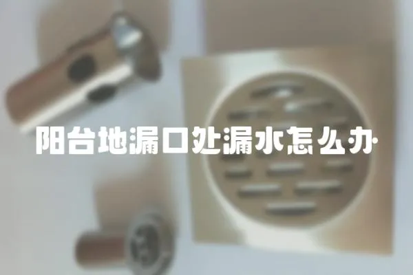 陽臺地漏口處漏水怎么辦