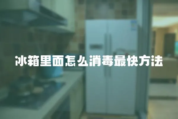 冰箱里面怎么消毒最快方法