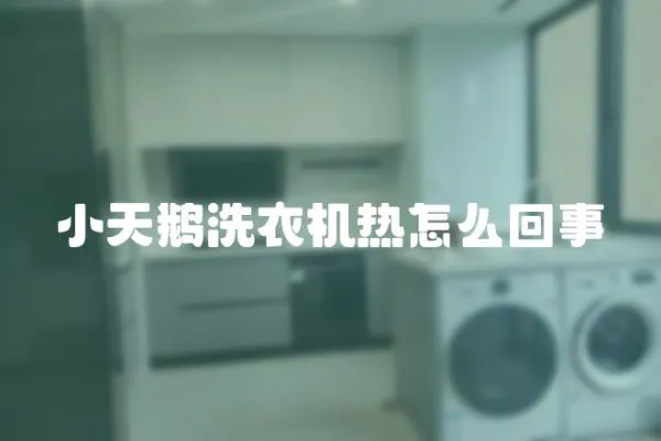 小天鵝洗衣機熱怎么回事