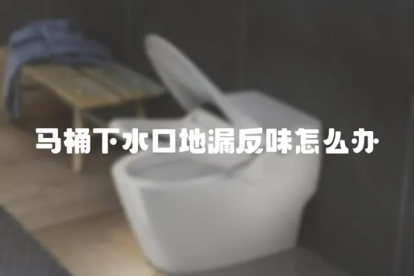 馬桶下水口地漏反味怎么辦