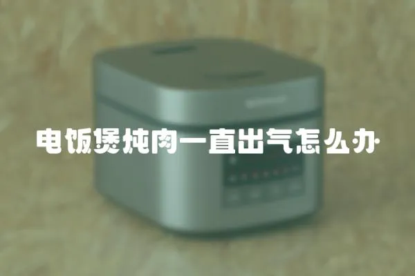電飯煲燉肉一直出氣怎么辦