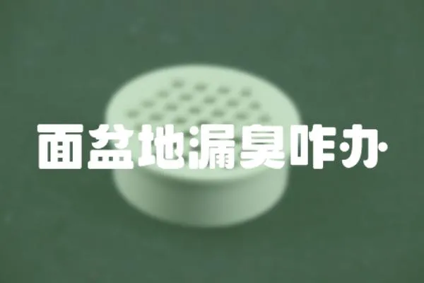 面盆地漏臭咋辦