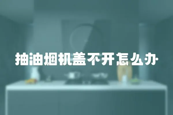 抽油煙機蓋不開怎么辦