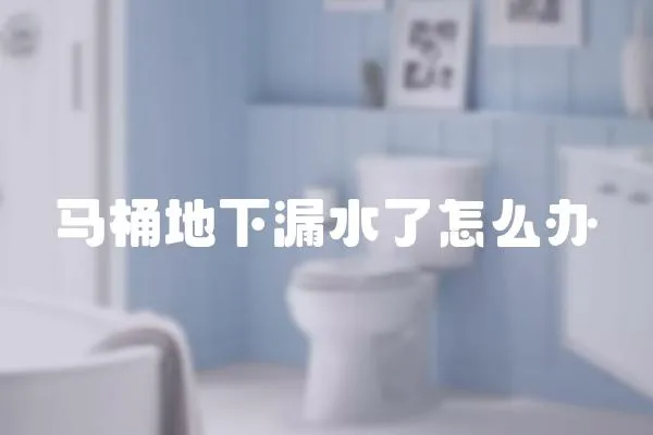 馬桶地下漏水了怎么辦