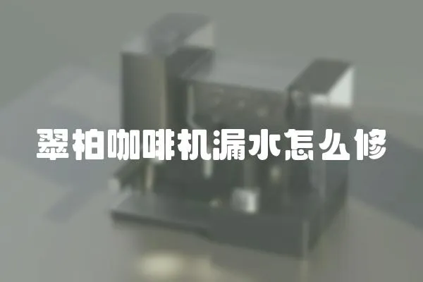 翠柏咖啡機漏水怎么修