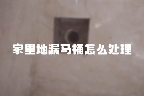 家里地漏馬桶怎么處理