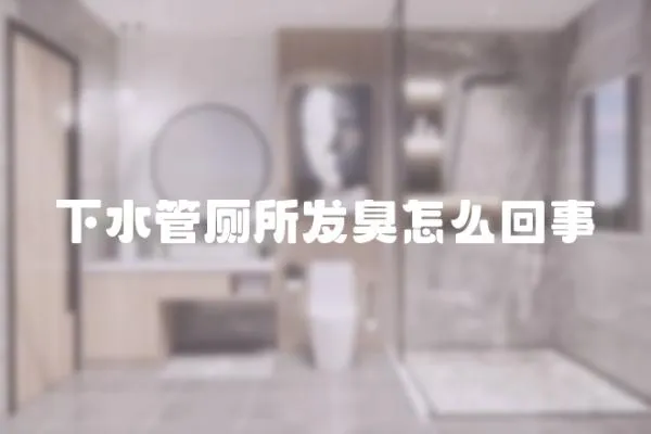 下水管廁所發臭怎么回事