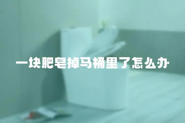 一塊肥皂掉馬桶里了怎么辦