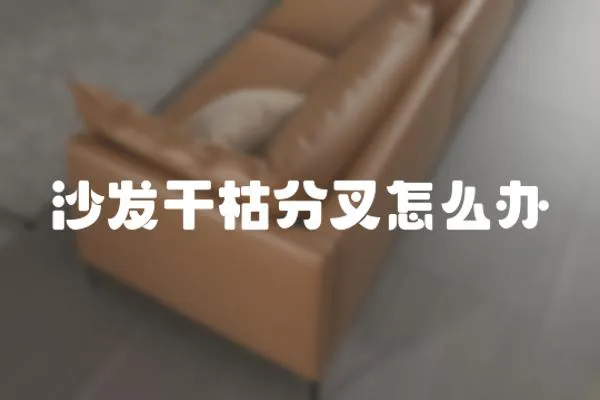 沙發干枯分叉怎么辦