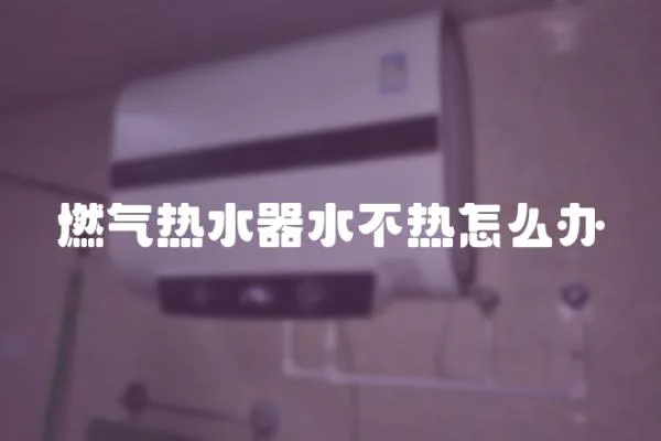 燃氣熱水器水不熱怎么辦