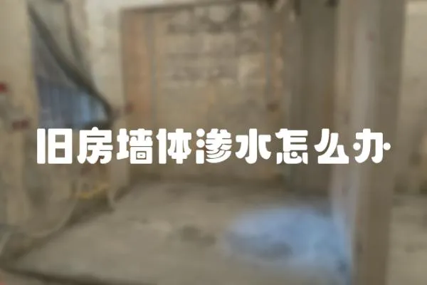 舊房墻體滲水怎么辦