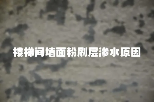 樓梯間墻面粉刷層滲水原因