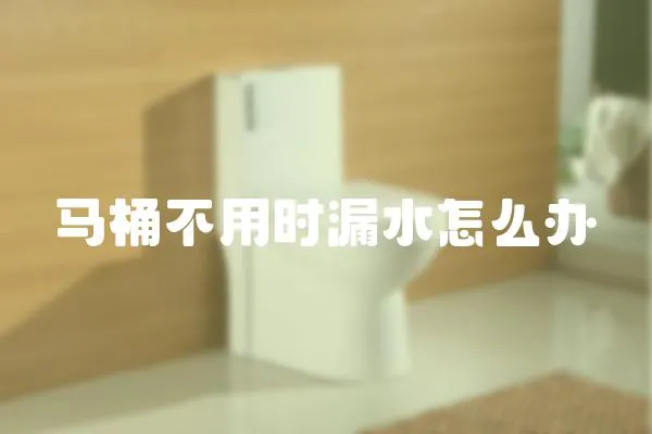 馬桶不用時漏水怎么辦