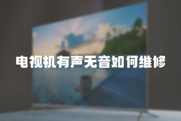 電視機有聲無音如何維修