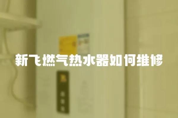 新飛燃?xì)鉄崴魅绾尉S修