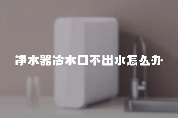 凈水器冷水口不出水怎么辦