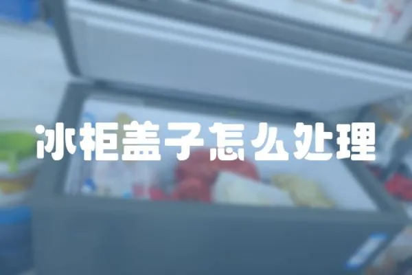 冰柜蓋子怎么處理