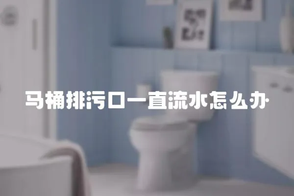 馬桶排污口一直流水怎么辦