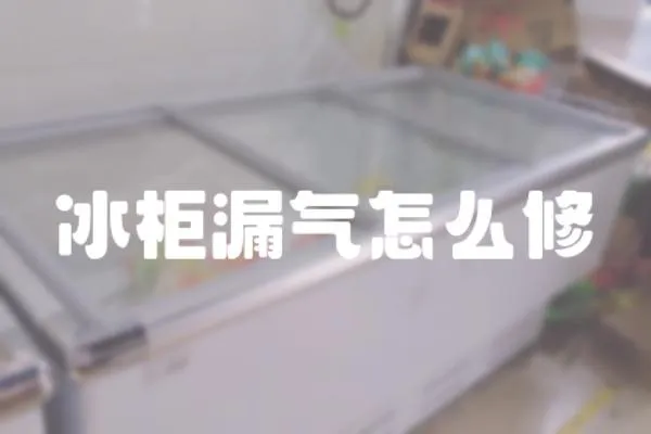 冰柜漏氣怎么修