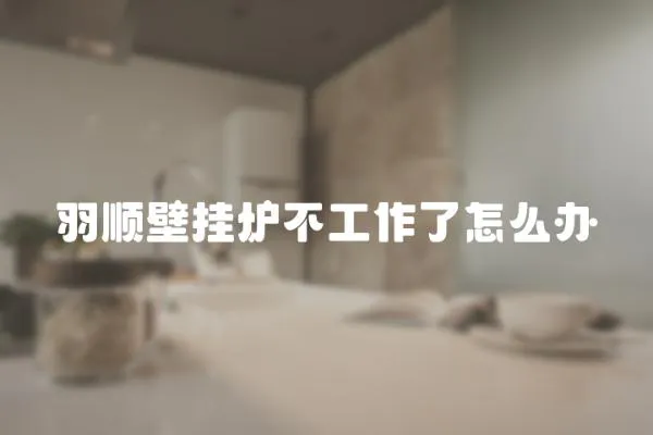 羽順壁掛爐不工作了怎么辦