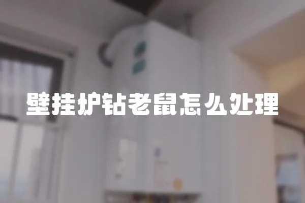 壁掛爐鉆老鼠怎么處理