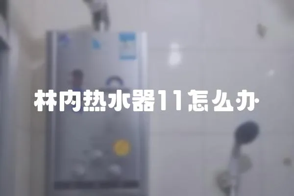 林內熱水器11怎么辦