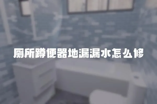 廁所蹲便器地漏漏水怎么修