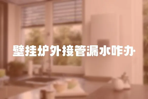 壁掛爐外接管漏水咋辦