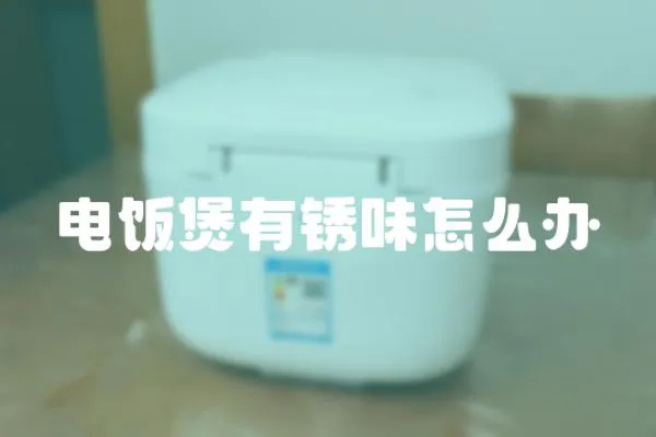 電飯煲有銹味怎么辦