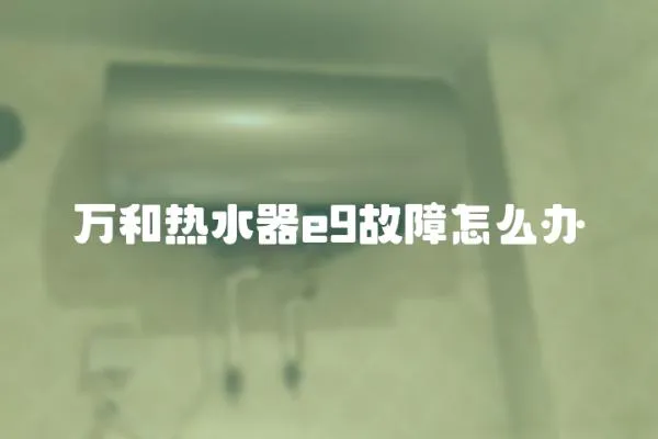 萬和熱水器e9故障怎么辦