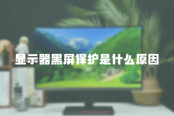 顯示器黑屏保護是什么原因