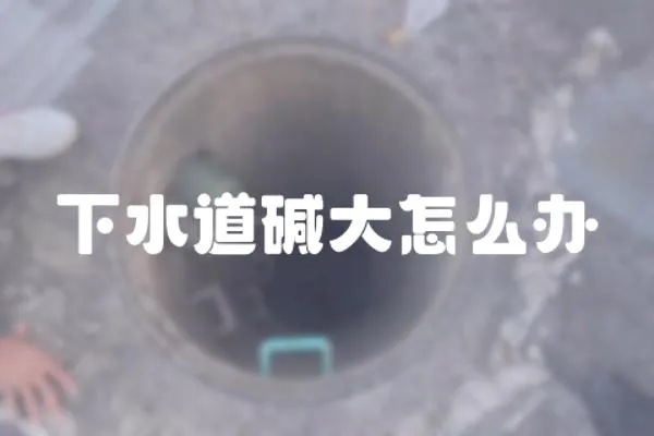 下水道堿大怎么辦