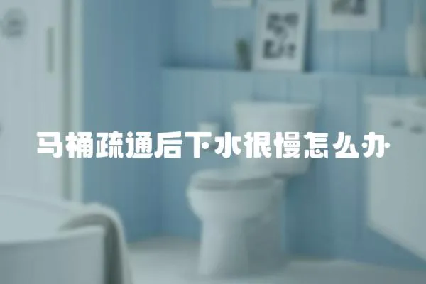 馬桶疏通后下水很慢怎么辦