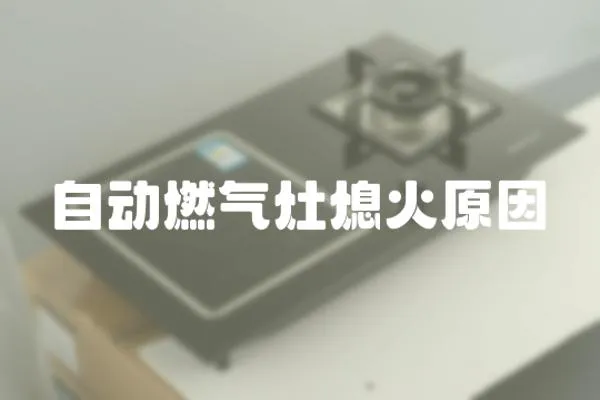 自動(dòng)燃?xì)庠钕ɑ鹪?></a></div>
                    <div   id=