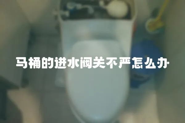 馬桶的進水閥關不嚴怎么辦