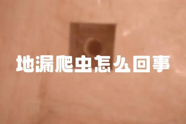 地漏爬蟲怎么回事